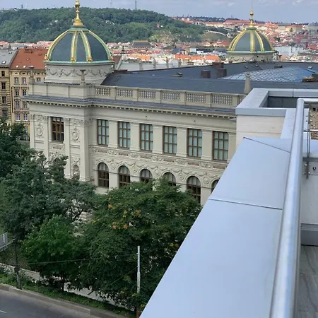 Apartament Rezidence U Muzea Praga
